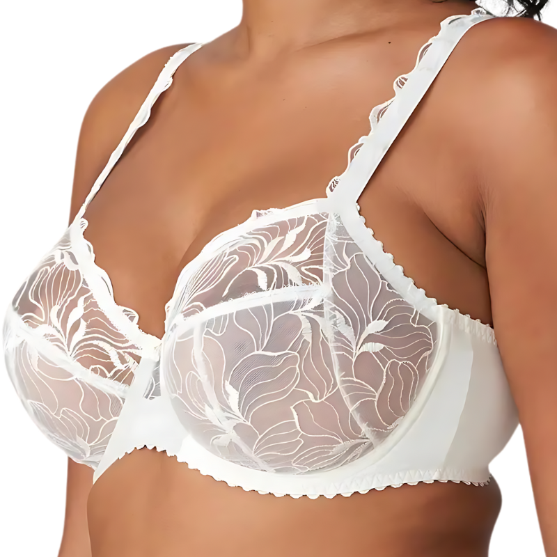 Agățați păpădia cu arțar Springdale Natural®